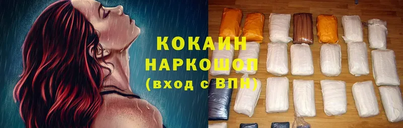 Кокаин Fish Scale  продажа наркотиков  гидра маркетплейс  Краснослободск 