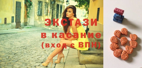 индика Осташков