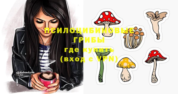 гидра Михайловск