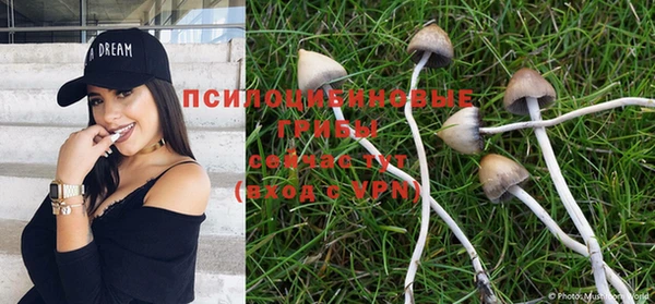 каннабис Медногорск