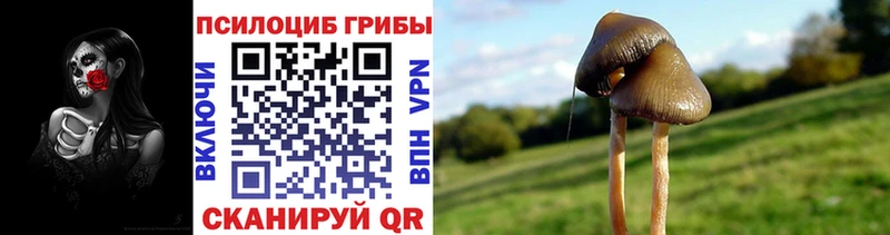 цены   Краснослободск  Галлюциногенные грибы прущие грибы 